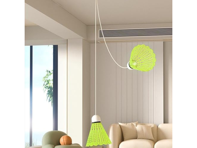 Professional Badminton Trainer Self Study